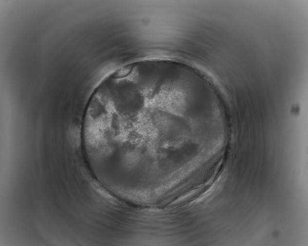 X0000100371409200807031851