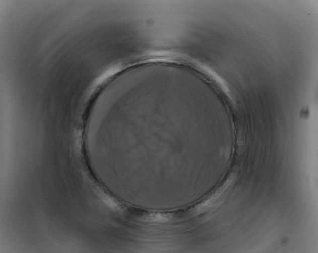 X0000100371411200807031851