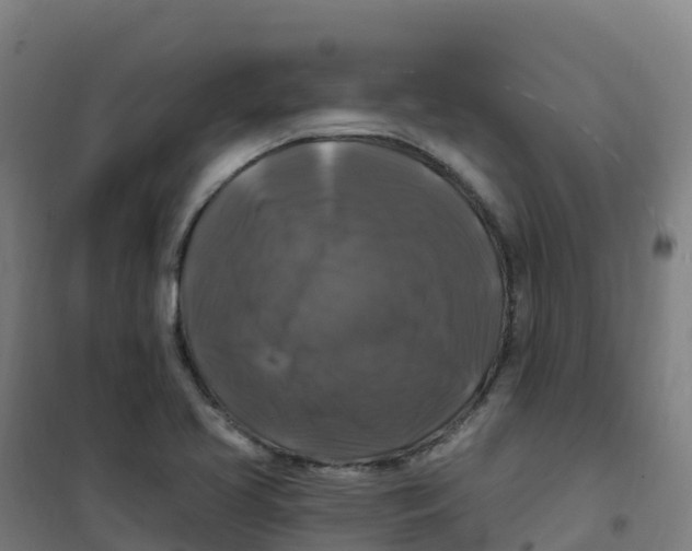 X0000100371413200807031851