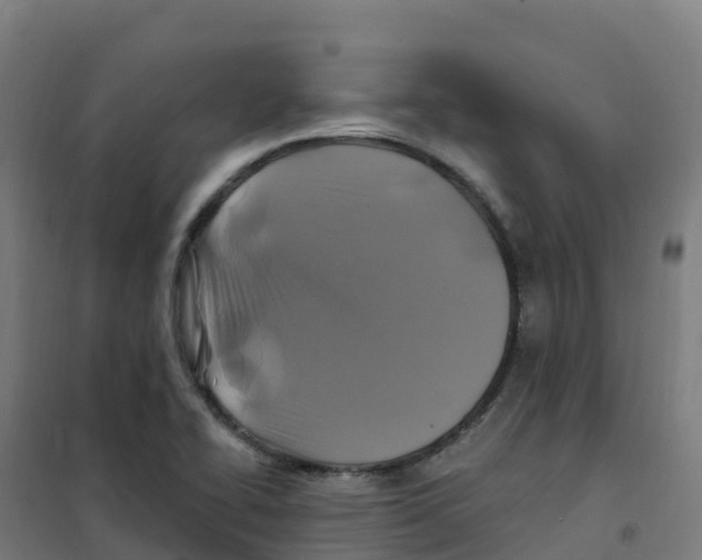 X0000100371414200807031851