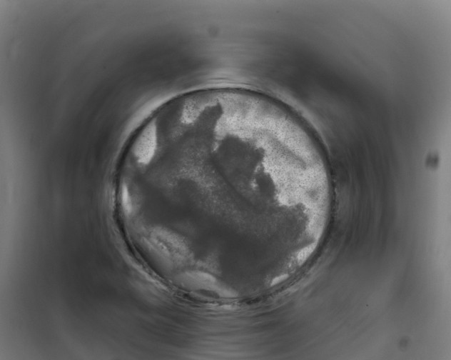 X0000100371415200807031851