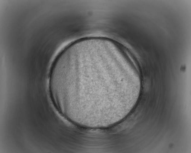 X0000100371416200807031851