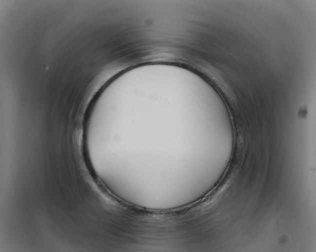 X0000100371418200807031851