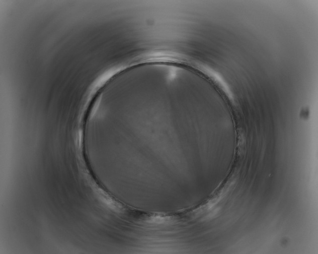 X0000100371419200807031851