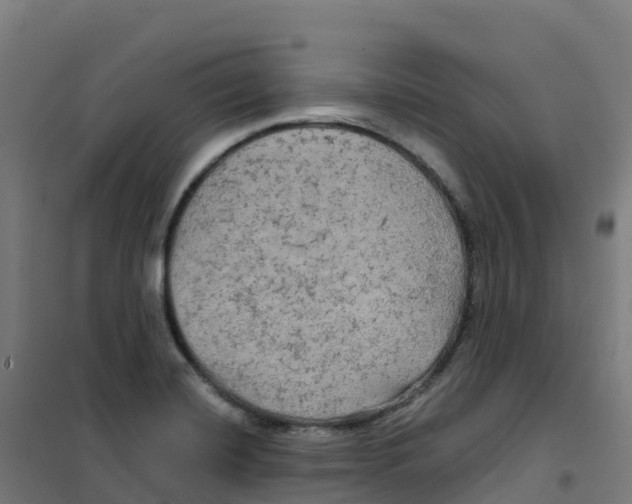 X0000100371420200807031851