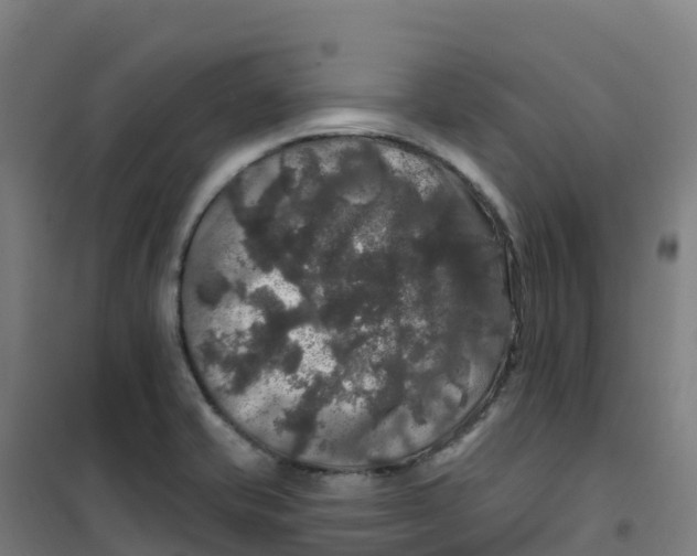 X0000100371421200807031851