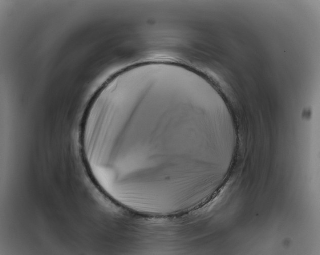 X0000100371422200807031851