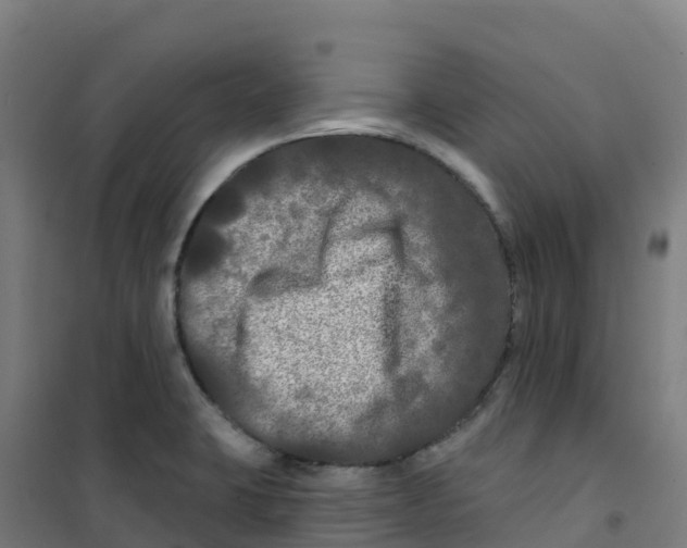 X0000100371423200807031851