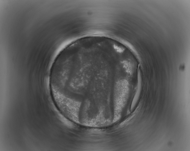 X0000100371424200807031851