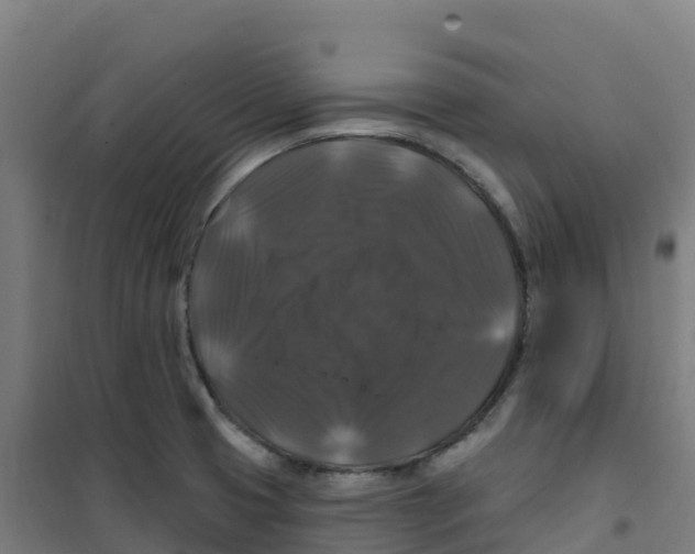 X0000100371425200807031851