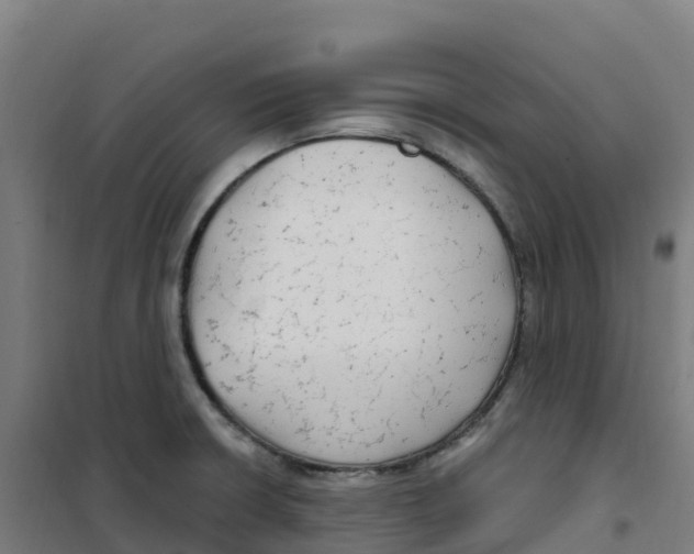 X0000100371426200807031851