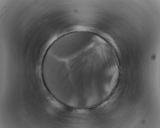 X0000100371427200807031851