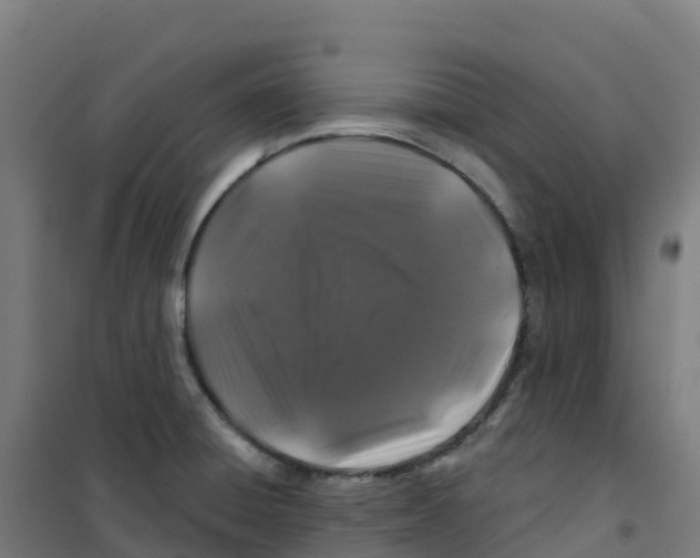 X0000100371428200807031851