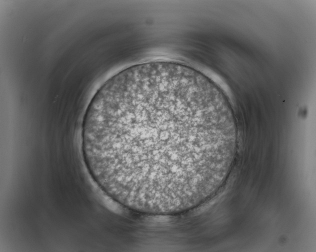 X0000100371431200807031851