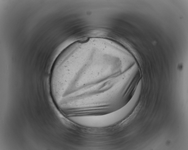 X0000100371434200807031851