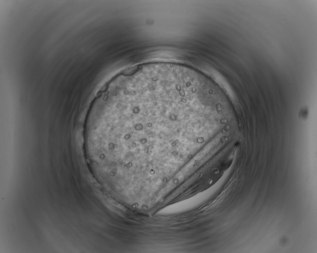 X0000100371435200807031851