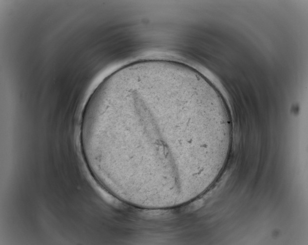 X0000100371437200807031851