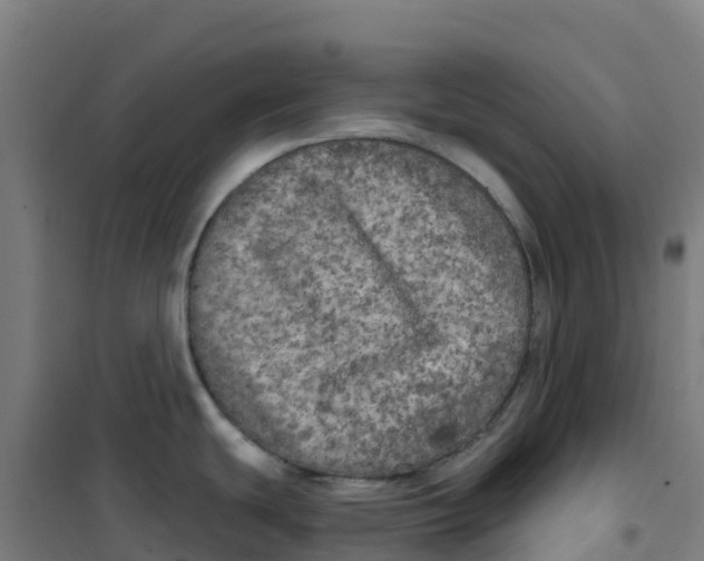 X0000100371439200807031851