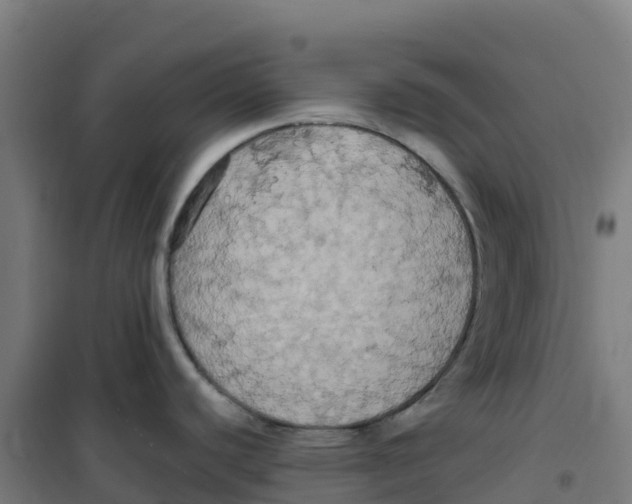 X0000100371440200807031851