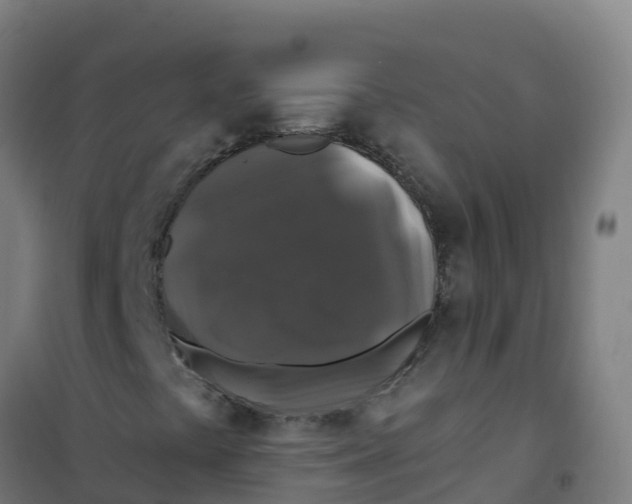 X0000100371441200807031851