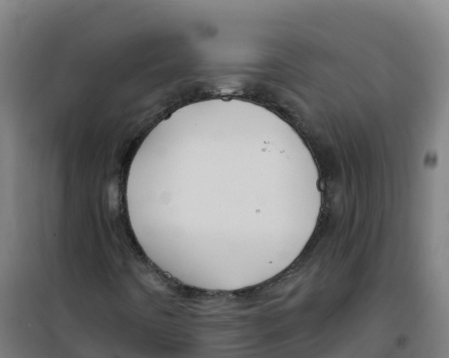 X0000100371442200807031851