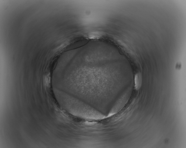 X0000100371443200807031851