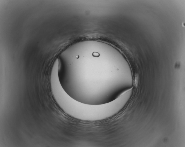 X0000100371444200807031851