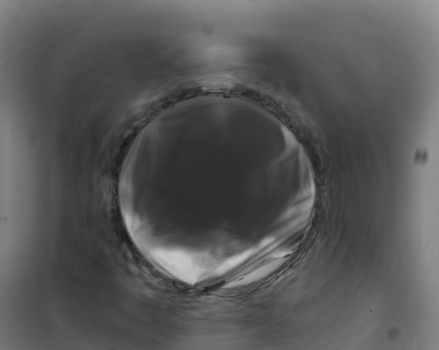 X0000100371445200807031851