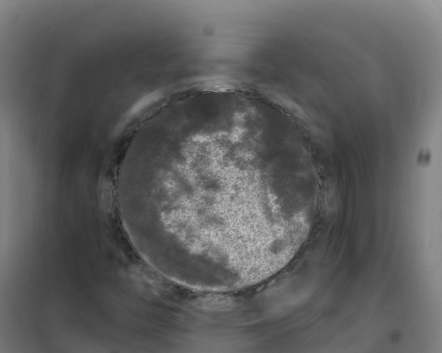 X0000100371446200807031851