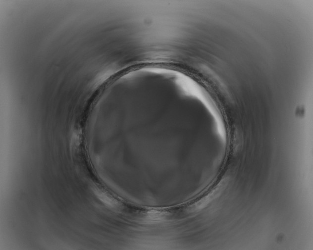 X0000100371449200807031851