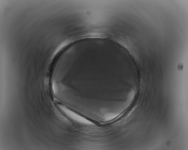 X0000100371450200807031851