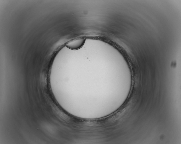 X0000100371451200807031851