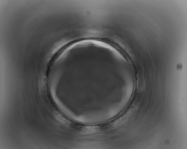 X0000100371453200807031851