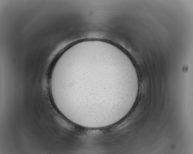 X0000100371454200807031851