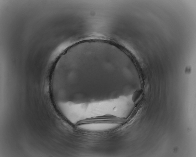 X0000100371455200807031851