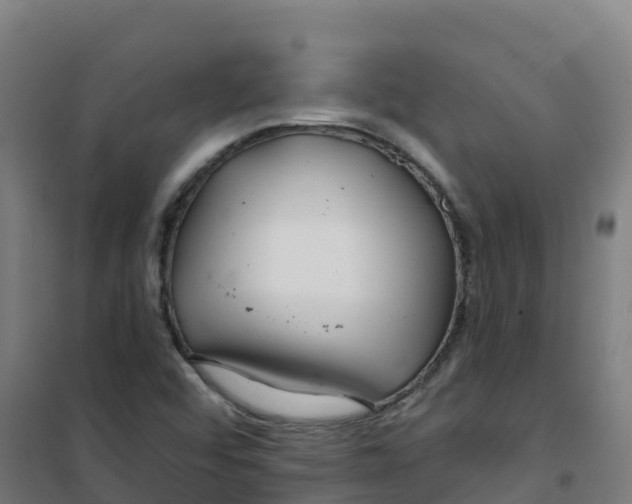 X0000100371456200807031851