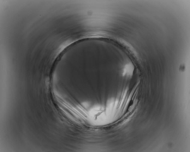 X0000100371457200807031851