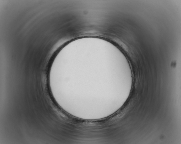 X0000100371458200807031851