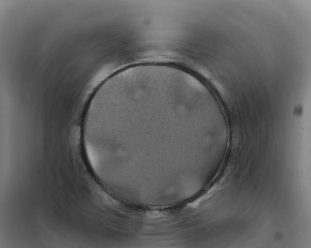 X0000100371459200807031851