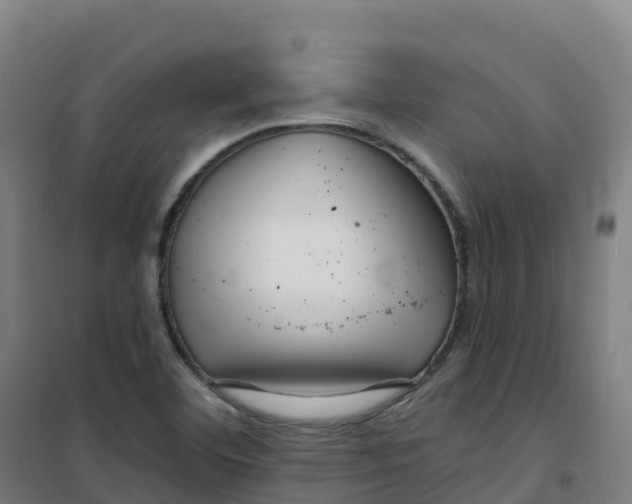 X0000100371460200807031851