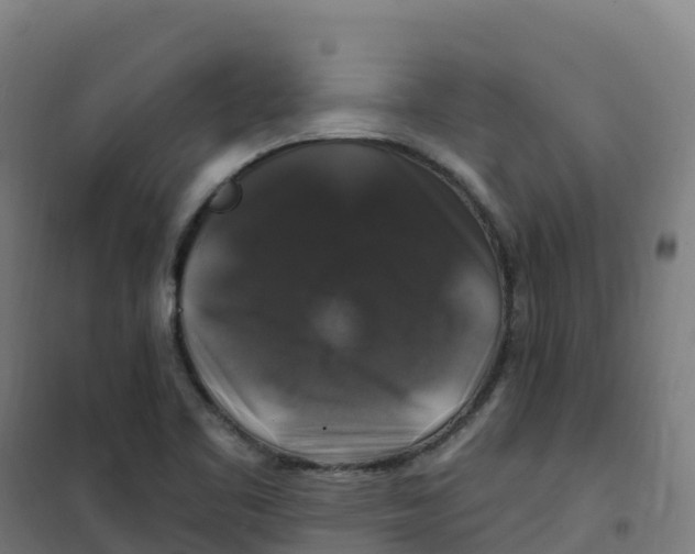 X0000100371461200807031850