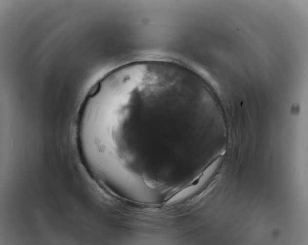 X0000100371463200807031850