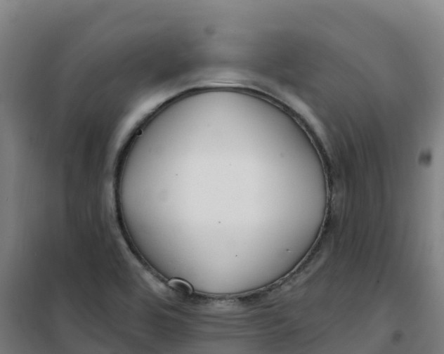 X0000100371464200807031850