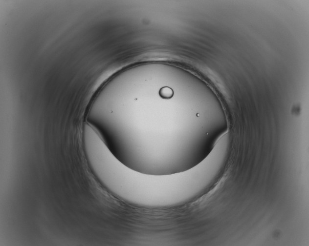 X0000100371465200807031850