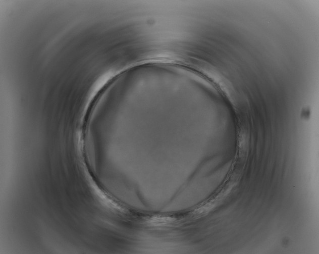 X0000100371466200807031850