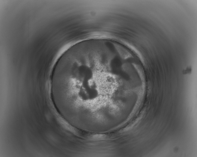 X0000100371467200807031850