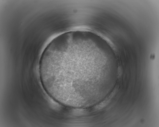 X0000100371470200807031850