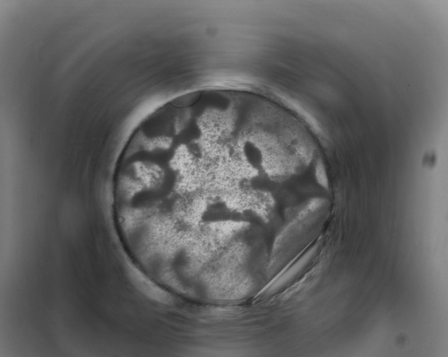 X0000100371471200807031850