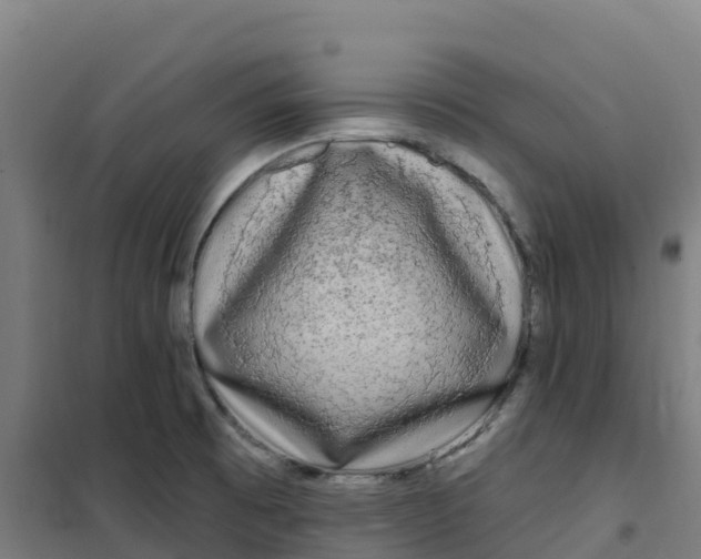 X0000100371473200807031850