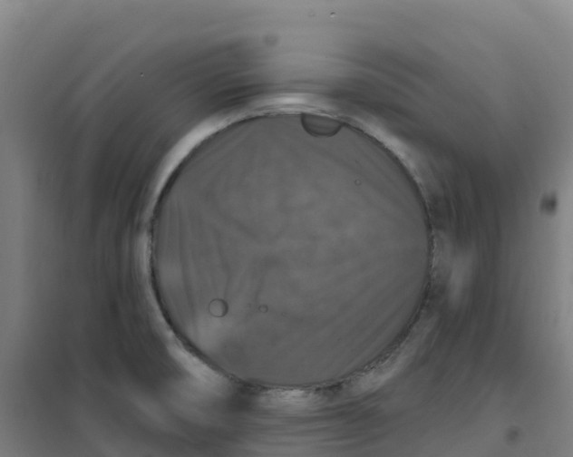 X0000100371474200807031850